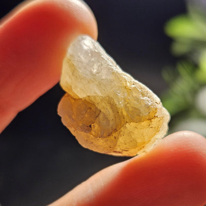 Gold Phenacite Crystal Specimen from Nigeria 4.17g