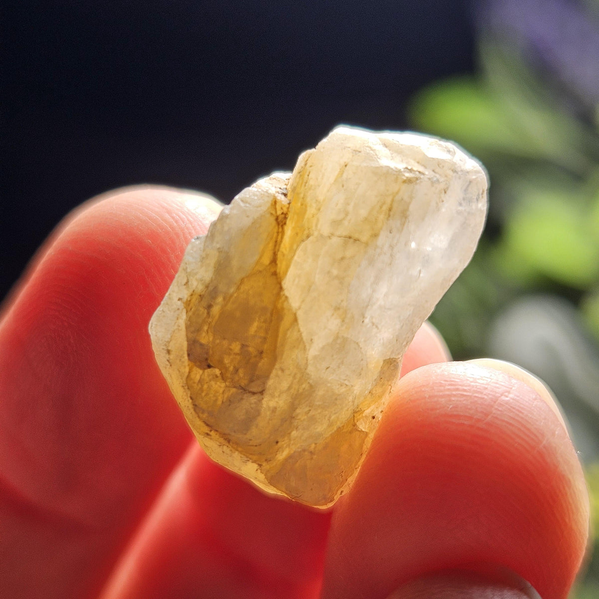 Gold Phenacite Crystal Specimen from Nigeria 4.17g
