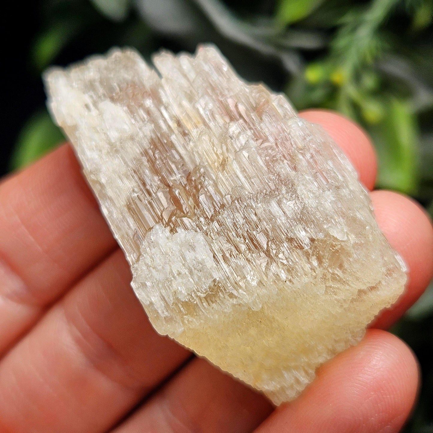Etched Yellow Kunzite Crystal 25.16g