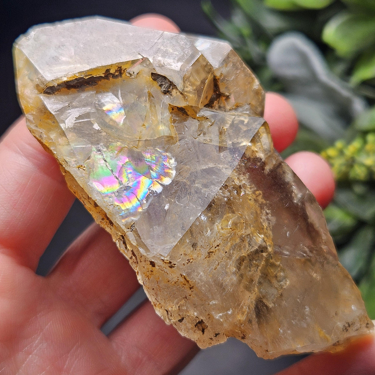 Skeletal Herkimer Diamond Quartz with Rainbow Inclusions 130.63g