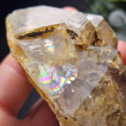 Skeletal Herkimer Diamond Quartz with Rainbow Inclusions 130.63g