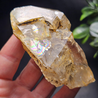 Skeletal Herkimer Diamond Quartz with Rainbow Inclusions 130.63g