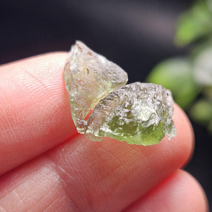 Angel Chime Moldavite Specimen 1.31g