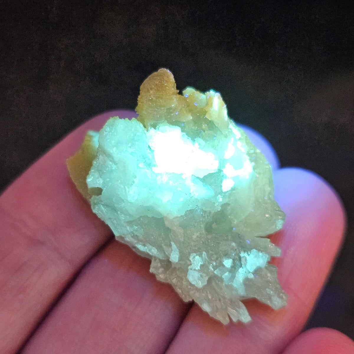 Zincite Crystal Specimen 23.06g, UV Reactive Bicolored Zincite