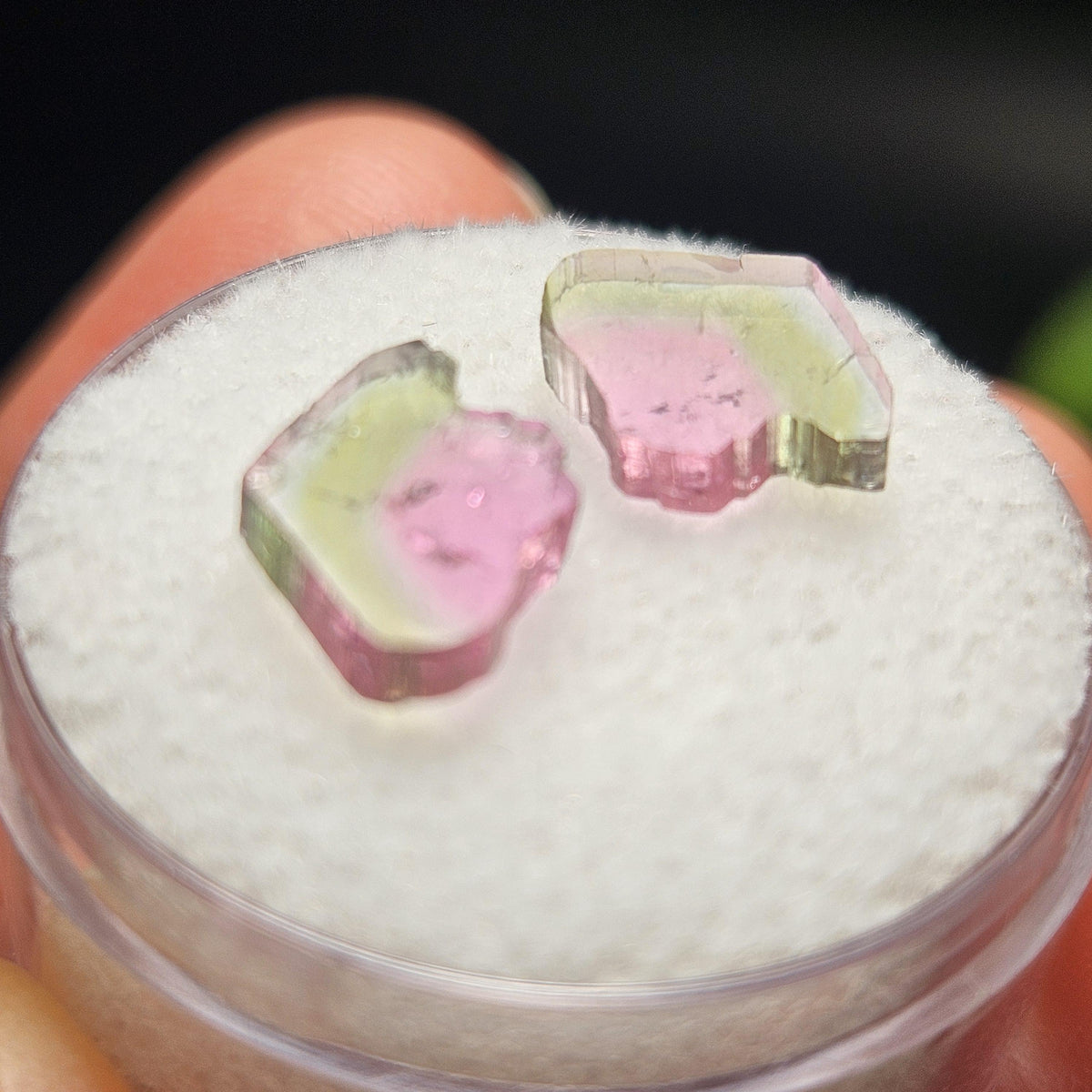 Watermelon Tourmaline Crystal Slice Pair of Specimens (3.7 carats)