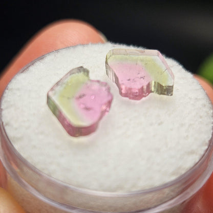 Watermelon Tourmaline Crystal Slice Pair of Specimens (3.7 carats)