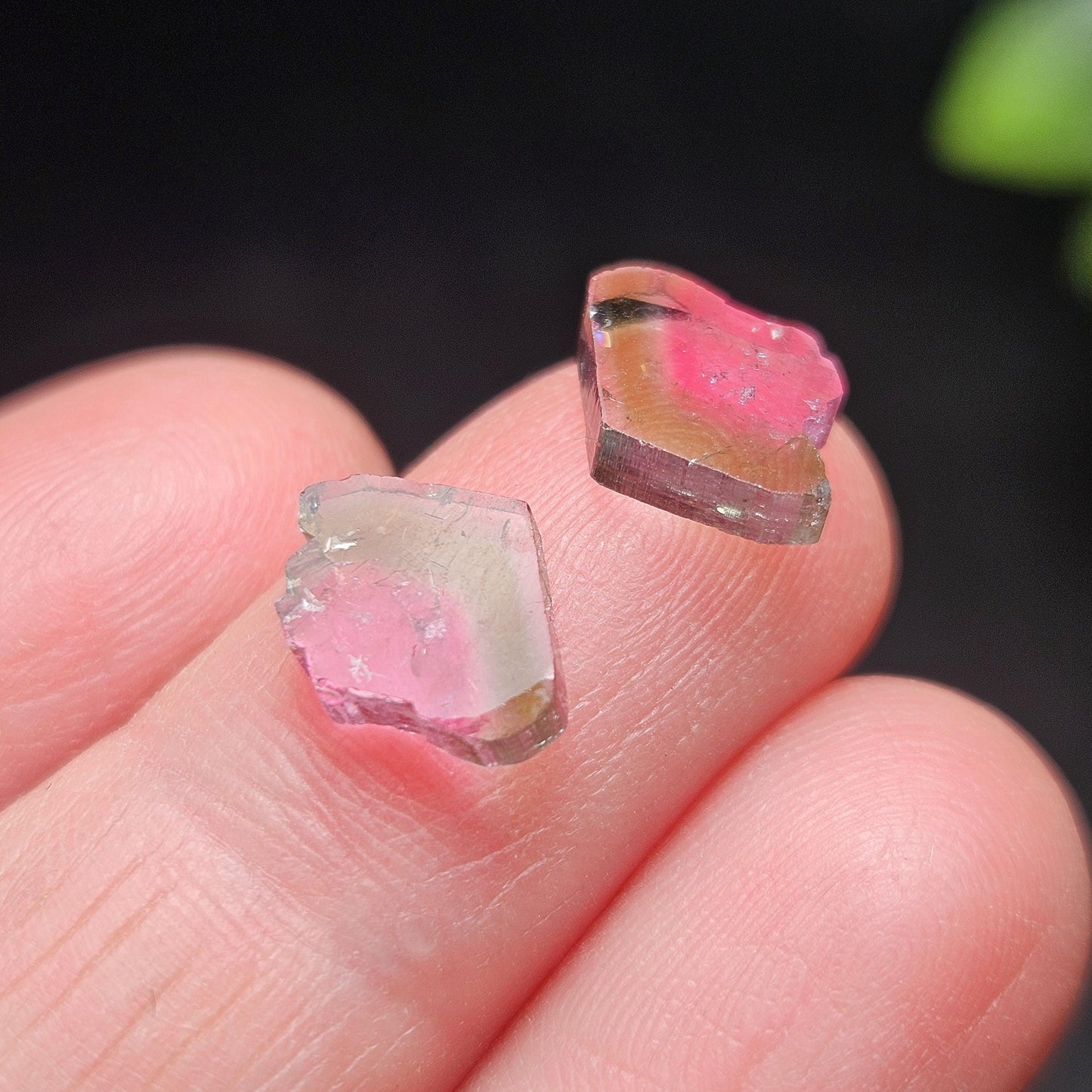 Watermelon Tourmaline Crystal Slice Pair of Specimens (3.7 carats)