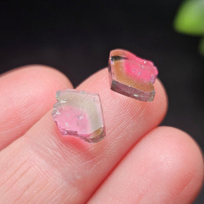 Watermelon Tourmaline Crystal Slice Pair of Specimens (3.7 carats)