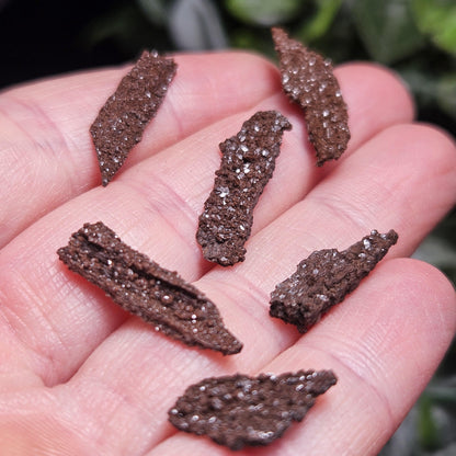 Permineralized Wood Specimen from Germany (Set of 3 Fossilized Druzy Fragments)