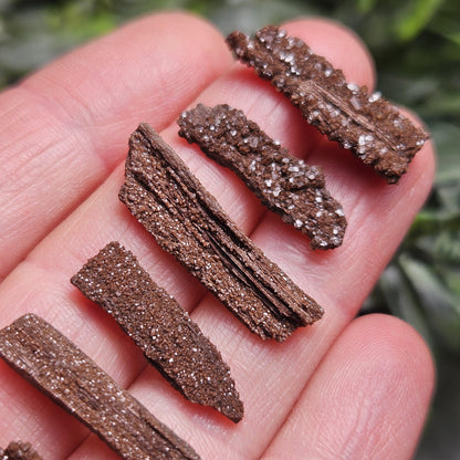 Permineralized Wood Specimen from Germany (Set of 3 Fossilized Druzy Fragments)