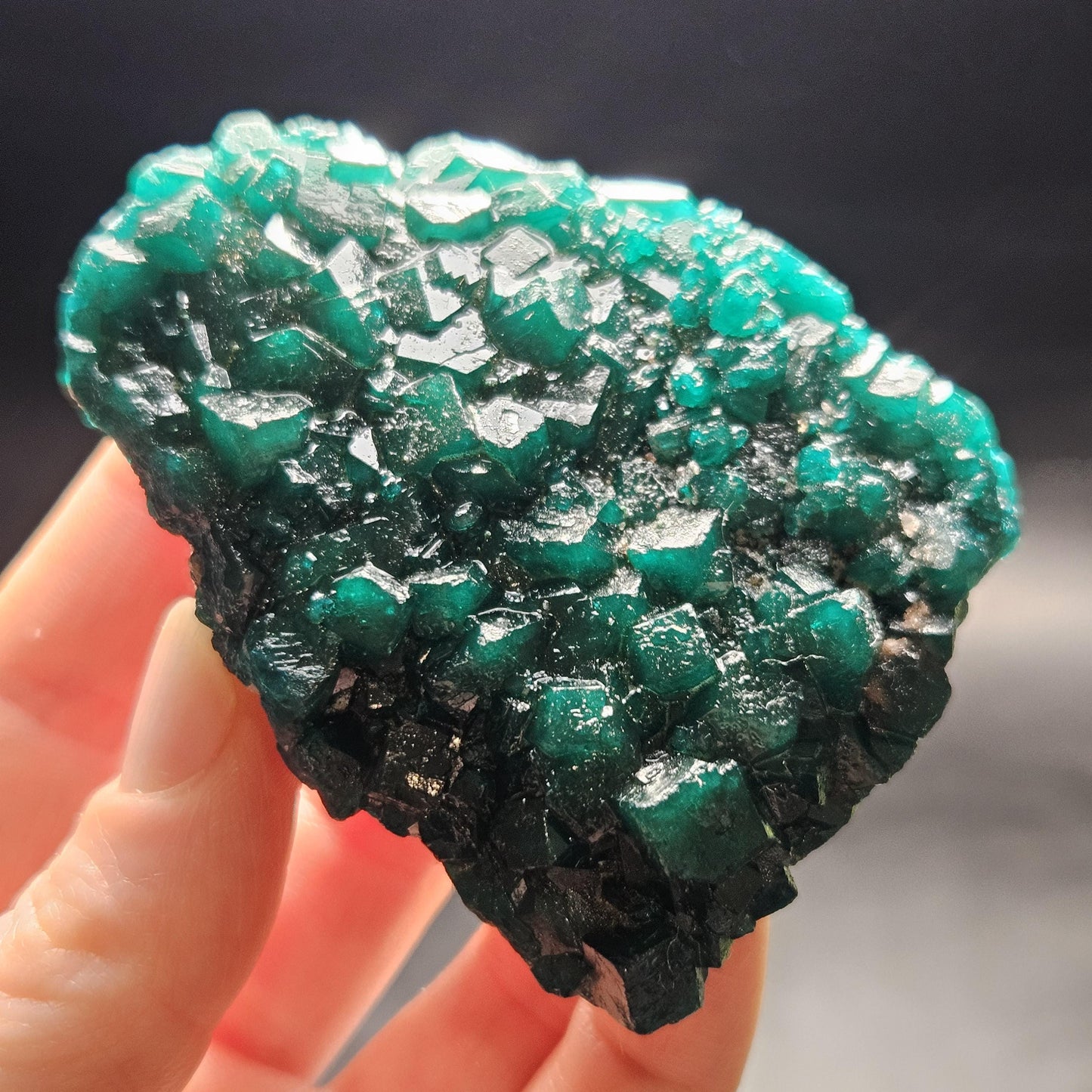 Dioptase Crystal Cluster from Congo 97.81g