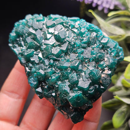 Dioptase Crystal Cluster from Congo 97.81g