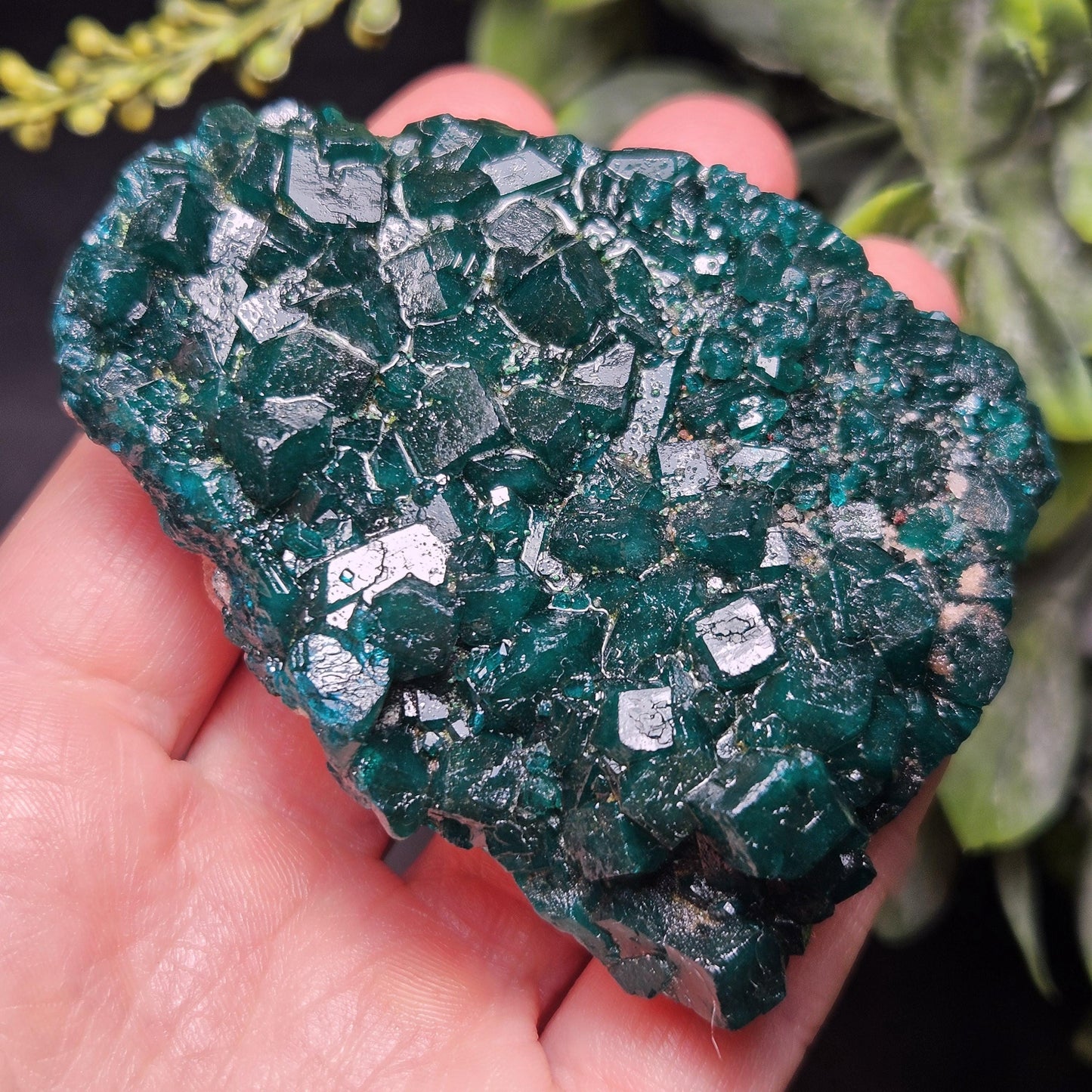 Dioptase Crystal Cluster from Congo 97.81g