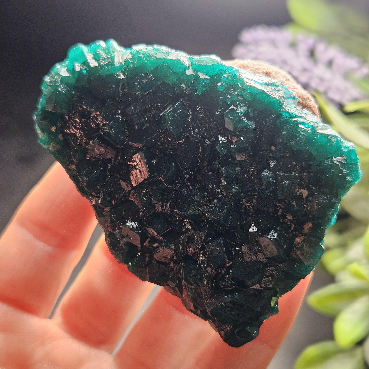 Dioptase Crystal Cluster from Congo 97.81g