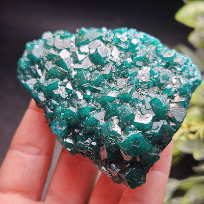 Dioptase Crystal Cluster from Congo 97.81g