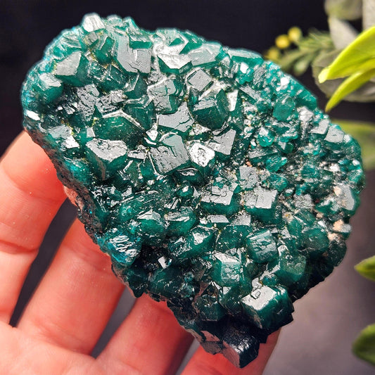 Dioptase Crystal Cluster from Congo 97.81g