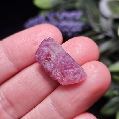 Pink Tourmaline Crystal, Raw Crystal from Brazil
