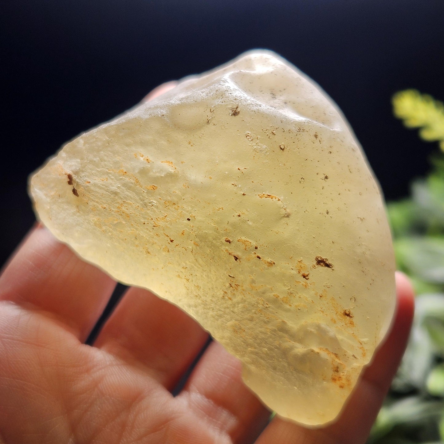 HUGE Libyan Desert Glass Specimen 147.33g
