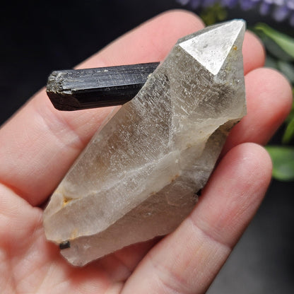 Black Tourmaline in Quartz Crystal 46.90g, Brazilian Quartz with Tourmaline, Black Tourmaline Specimen, Tourmaline Crystal