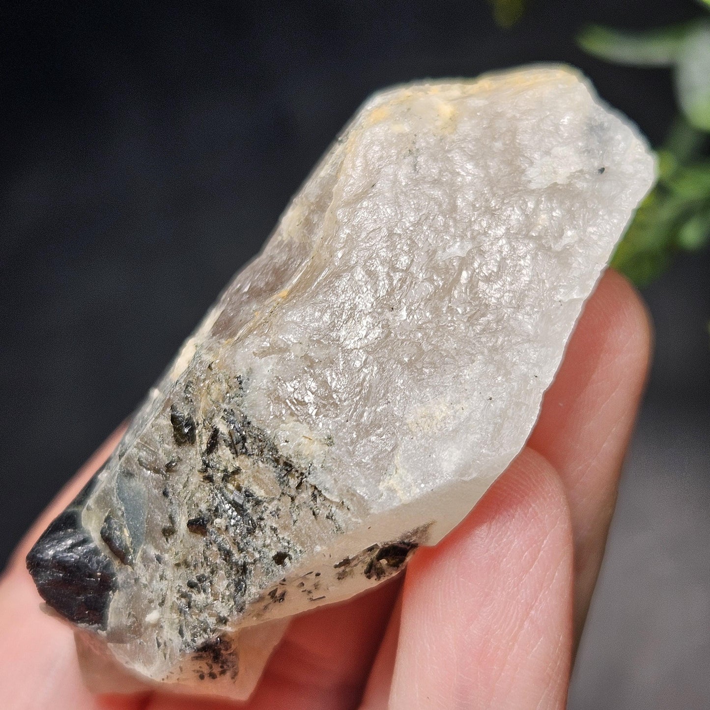 Black Tourmaline in Quartz Crystal 46.90g, Brazilian Quartz with Tourmaline, Black Tourmaline Specimen, Tourmaline Crystal