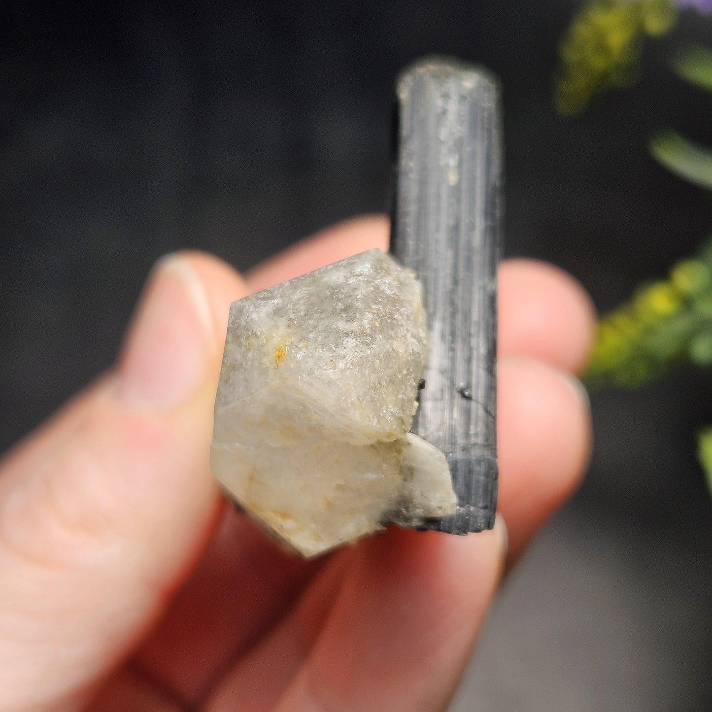 Black Tourmaline in Quartz Crystal 46.90g, Brazilian Quartz with Tourmaline, Black Tourmaline Specimen, Tourmaline Crystal