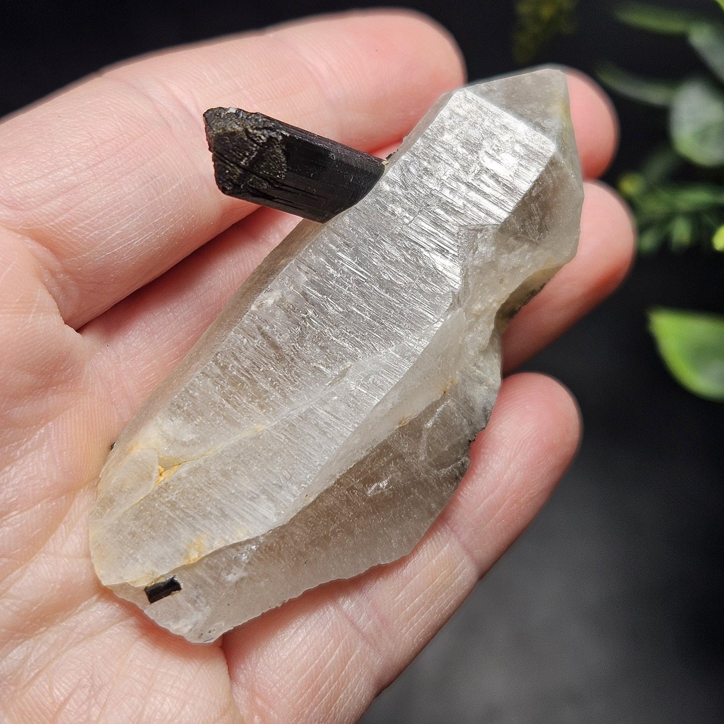 Black Tourmaline in Quartz Crystal 46.90g, Brazilian Quartz with Tourmaline, Black Tourmaline Specimen, Tourmaline Crystal