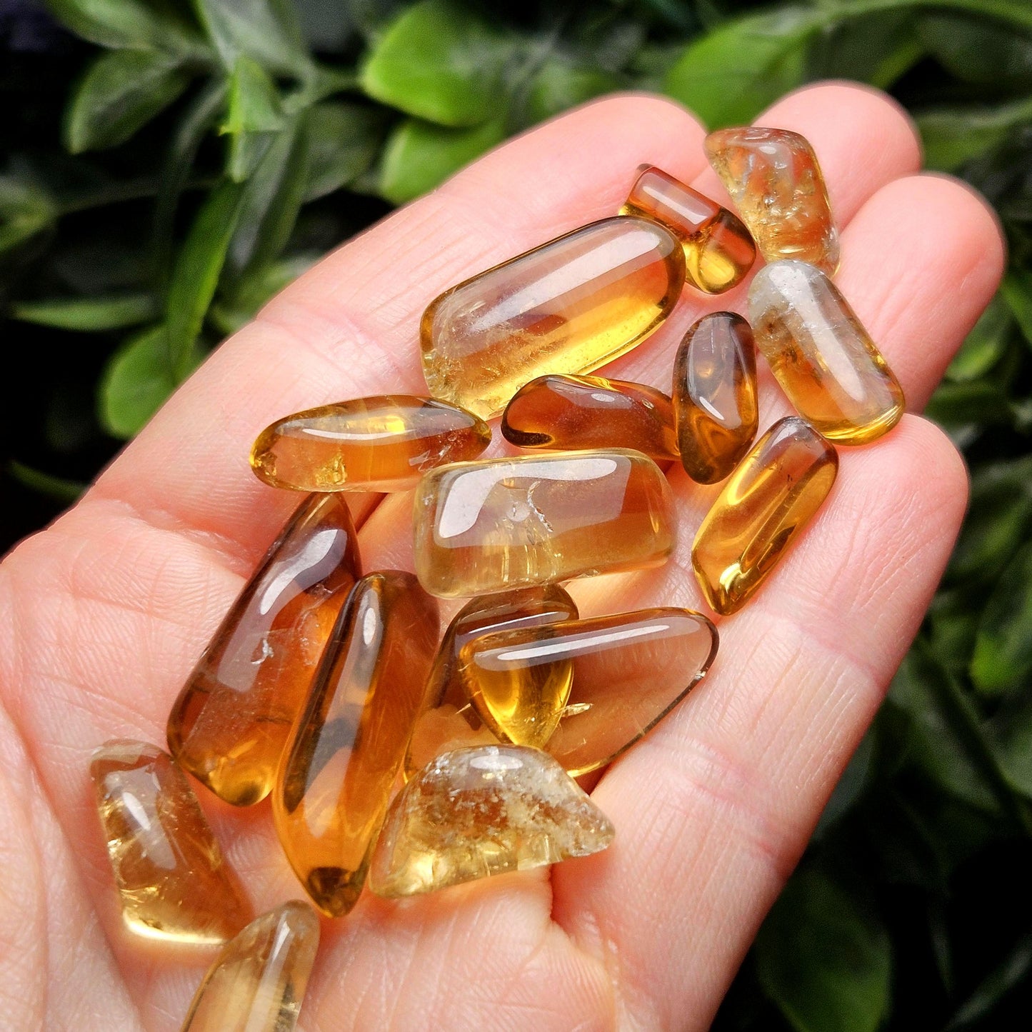 Natural Citrine Tumbled Crystal, Congo Citrine, Untreated Citrine Tumble Stone Specimen