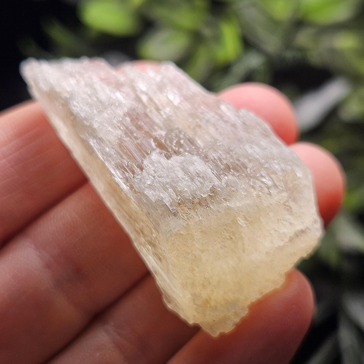 Etched Yellow Kunzite Crystal 25.16g