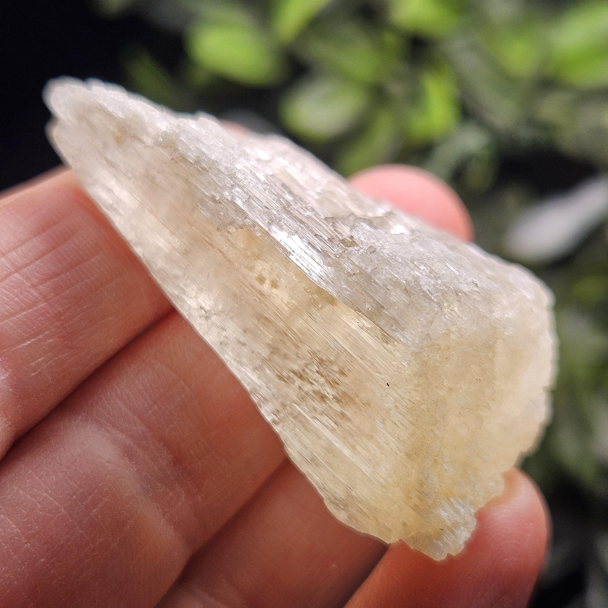 Etched Yellow Kunzite Crystal 25.16g