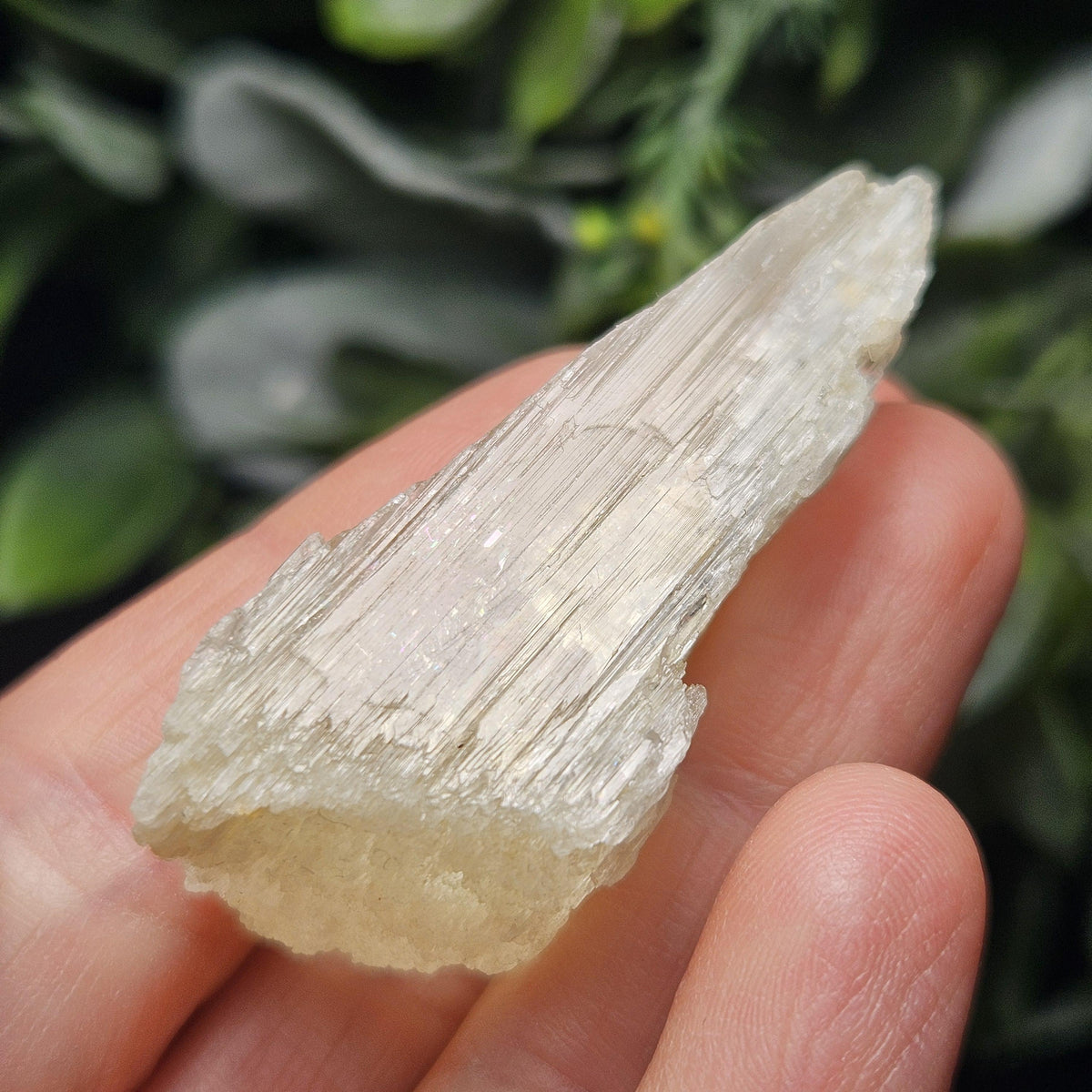 Etched Yellow Kunzite Crystal 25.16g