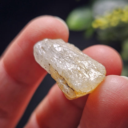 Gold Phenacite Crystal Specimen from Nigeria 4.17g