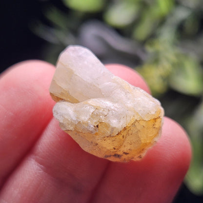Gold Phenacite Crystal Specimen from Nigeria 4.17g