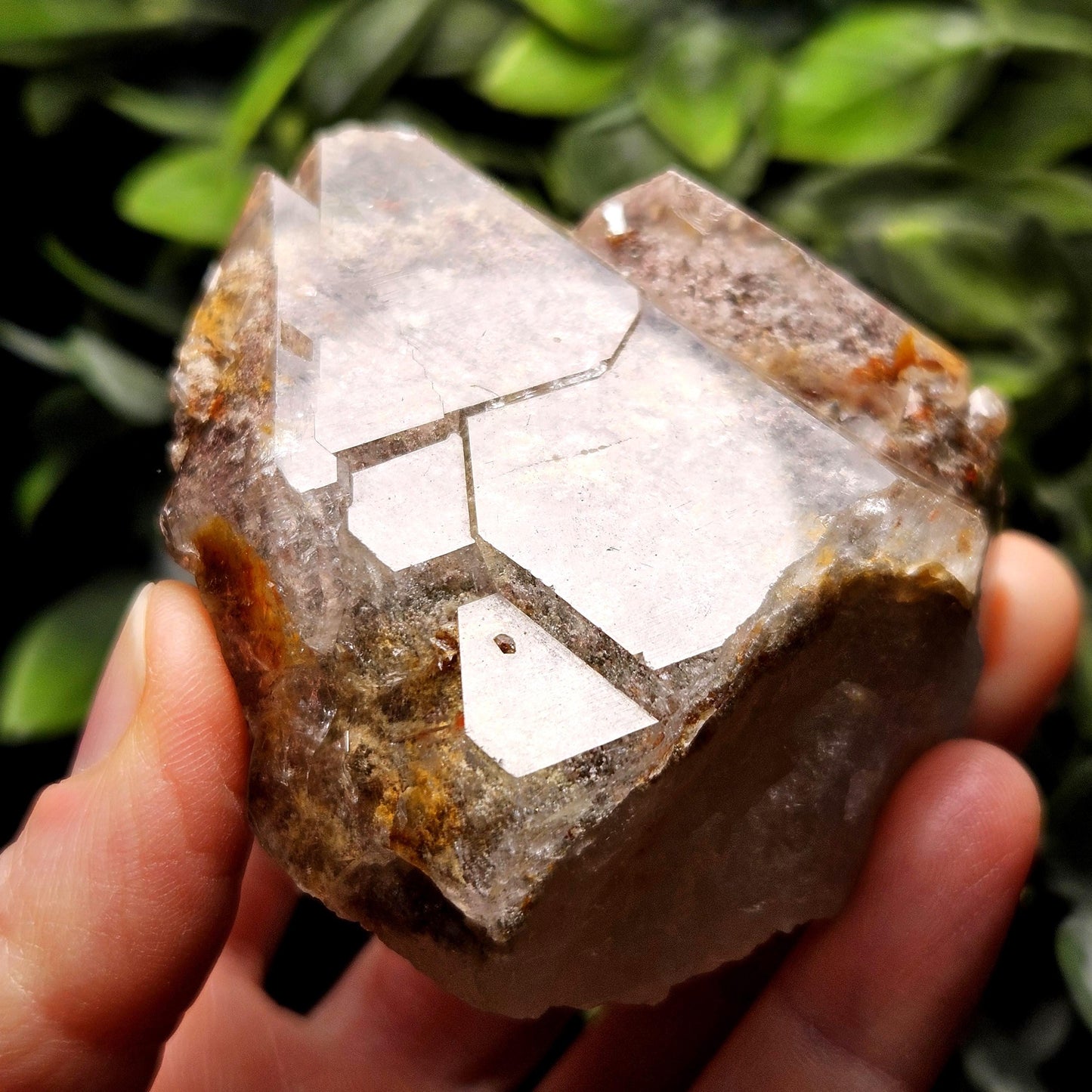 Garden Quartz Crystal 186g, Brazilian Lodolite Specimen