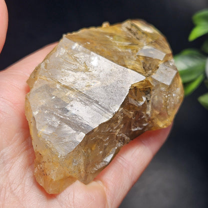 Skeletal Herkimer Diamond Quartz with Rainbow Inclusions 130.63g