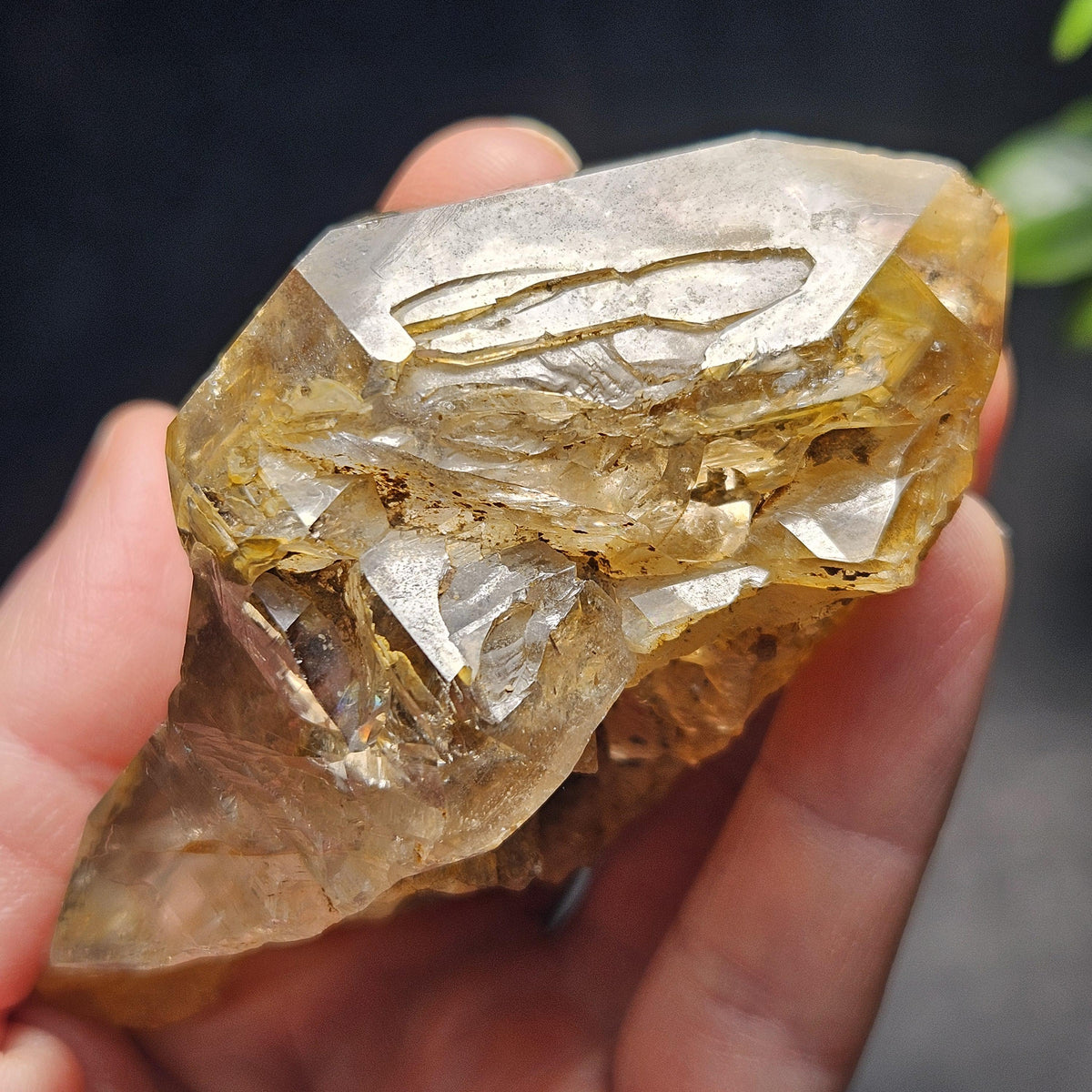 Skeletal Herkimer Diamond Quartz with Rainbow Inclusions 130.63g