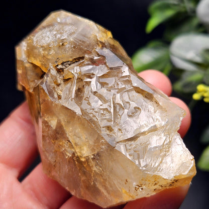 Skeletal Herkimer Diamond Quartz with Rainbow Inclusions 130.63g