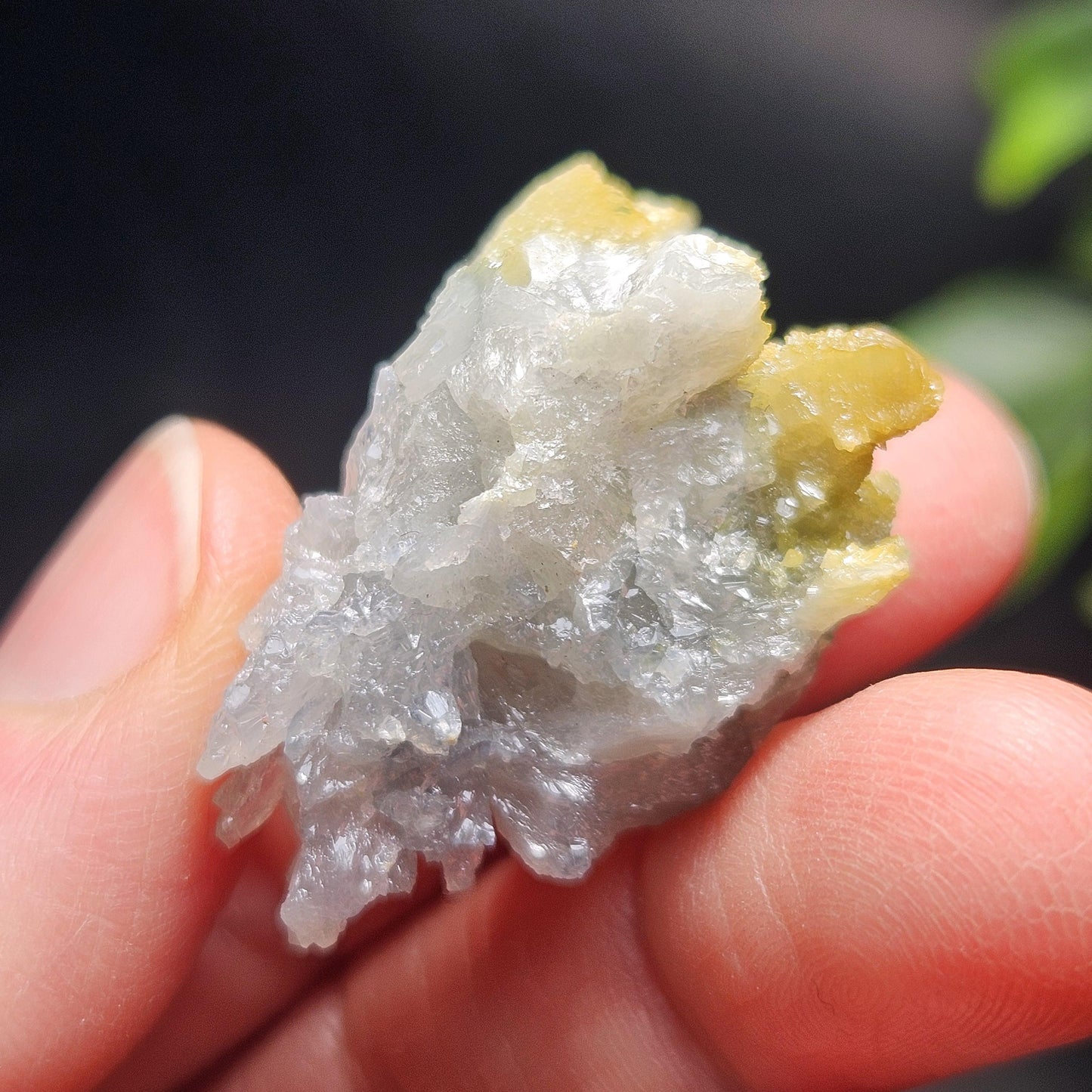 Zincite Crystal Specimen 23.06g, UV Reactive Bicolored Zincite