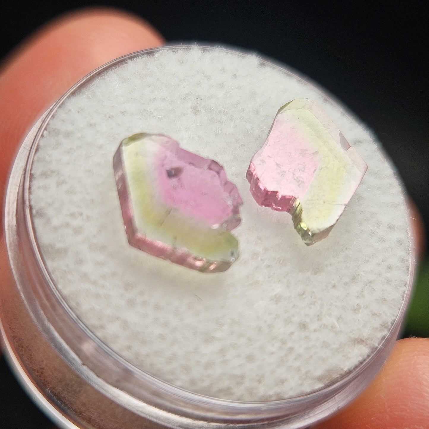 Watermelon Tourmaline Crystal Slice Pair of Specimens (3.7 carats)