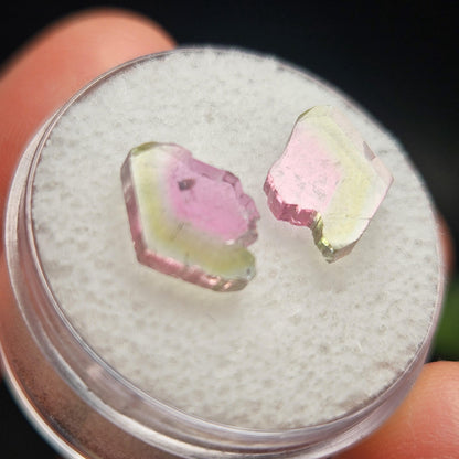 Watermelon Tourmaline Crystal Slice Pair of Specimens (3.7 carats)