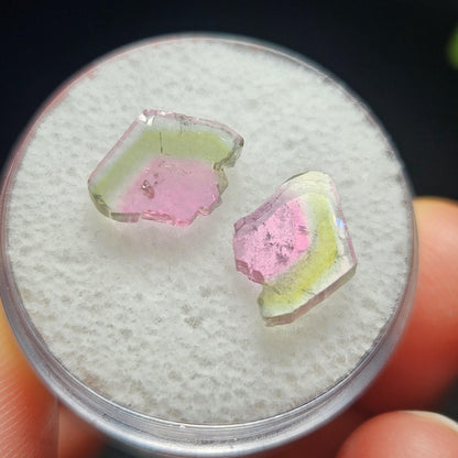 Watermelon Tourmaline Crystal Slice Pair of Specimens (3.7 carats)