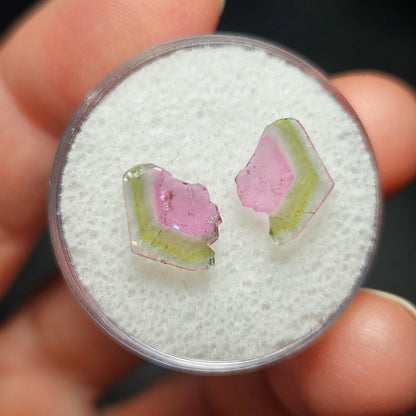 Watermelon Tourmaline Crystal Slice Pair of Specimens (3.7 carats)