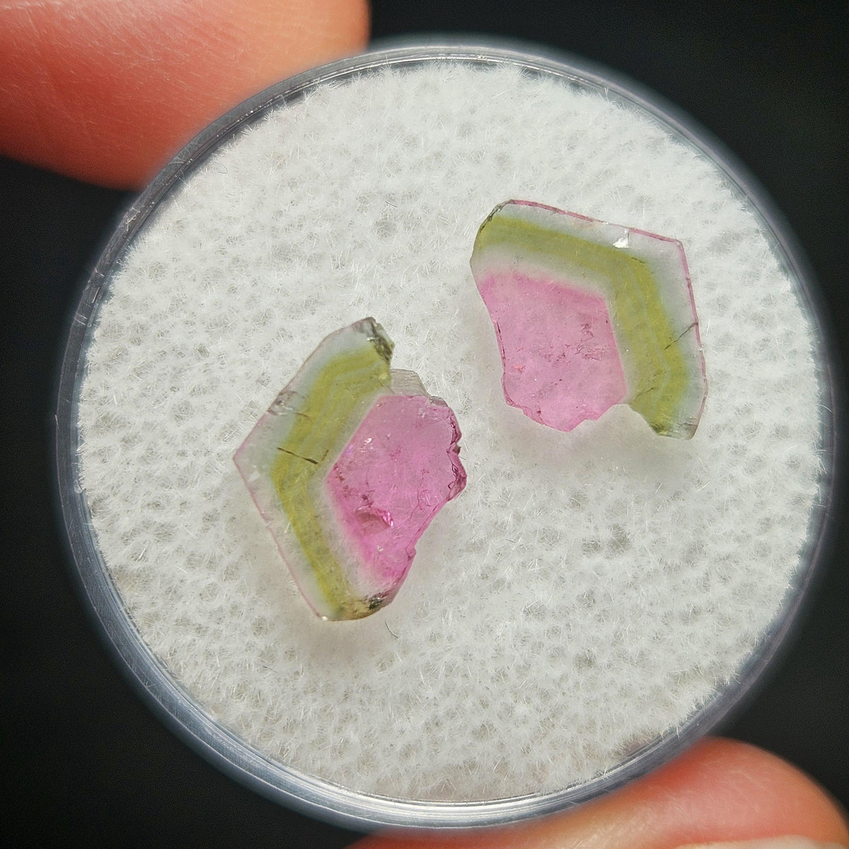 Watermelon Tourmaline Crystal Slice Pair of Specimens (3.7 carats)