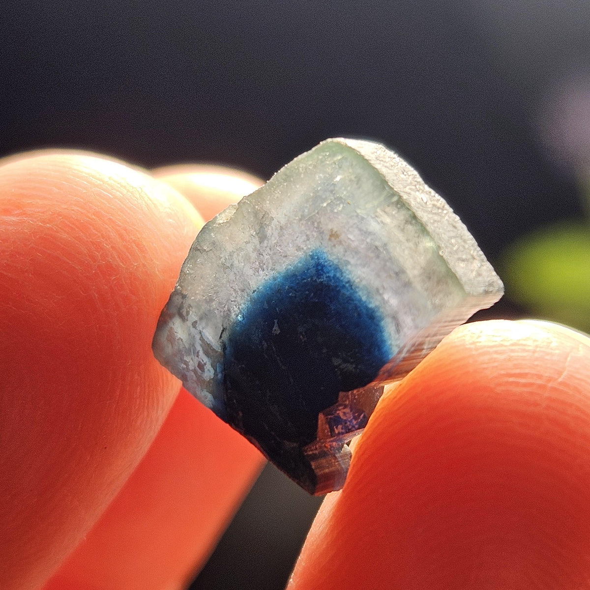 Blue Tourmaline Crystal Slice (5.8 carats)