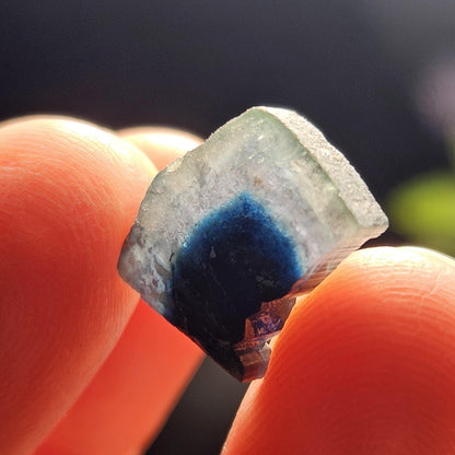 Blue Tourmaline Crystal Slice (5.8 carats)