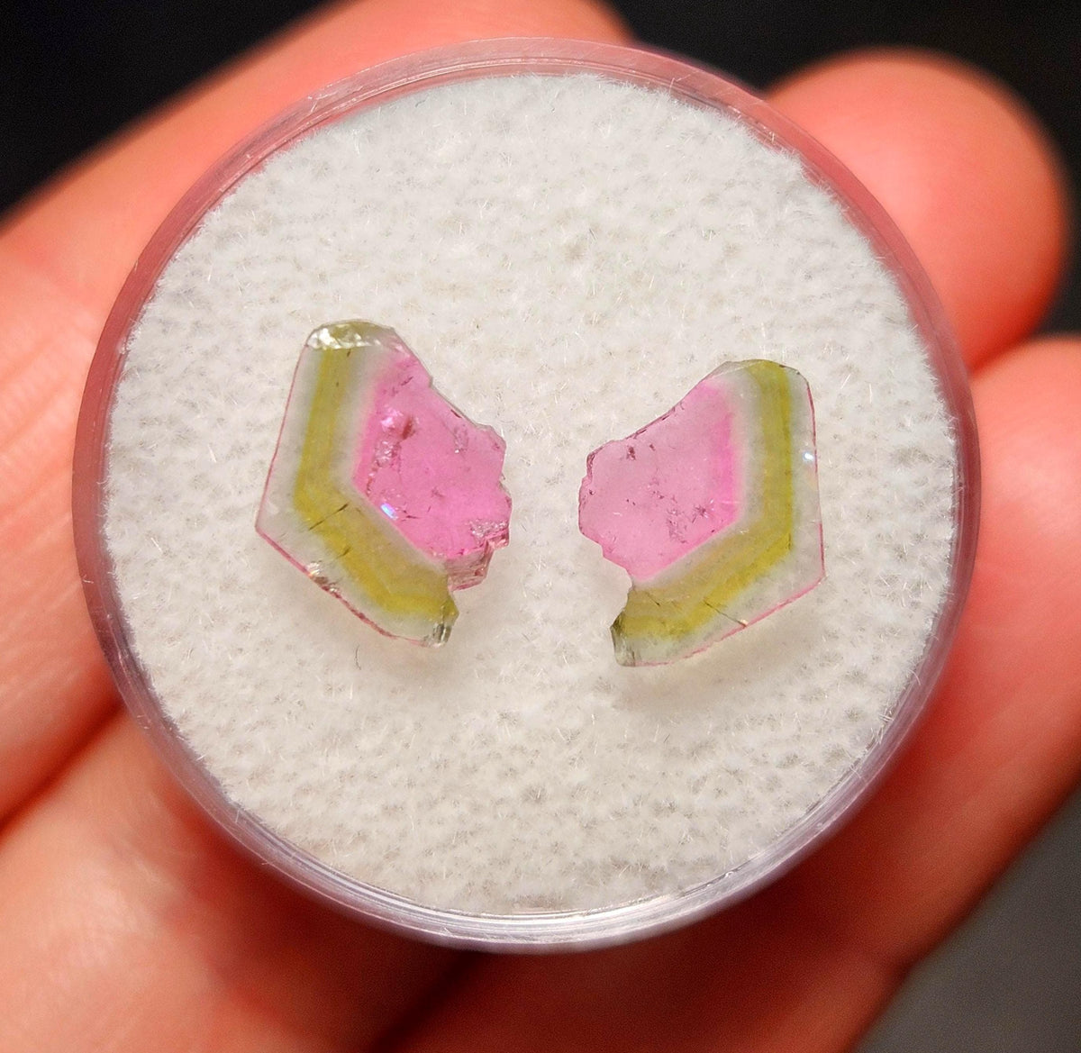 Watermelon Tourmaline Crystal Slice Pair of Specimens (3.7 carats)
