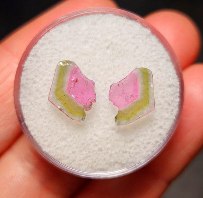Watermelon Tourmaline Crystal Slice Pair of Specimens (3.7 carats)