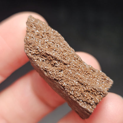 Drusy Permineralized Fossil Wood from Germany (1 to 1.5")
