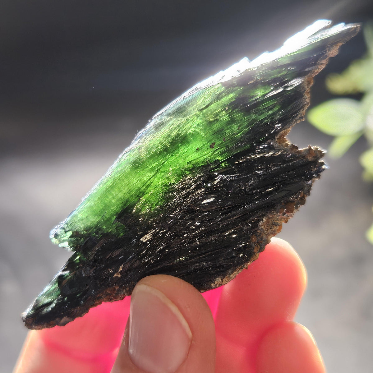 Vivianite Crystal Specimen 38.12g, AAA Terminated Vivianite Crystal, Raw Blue