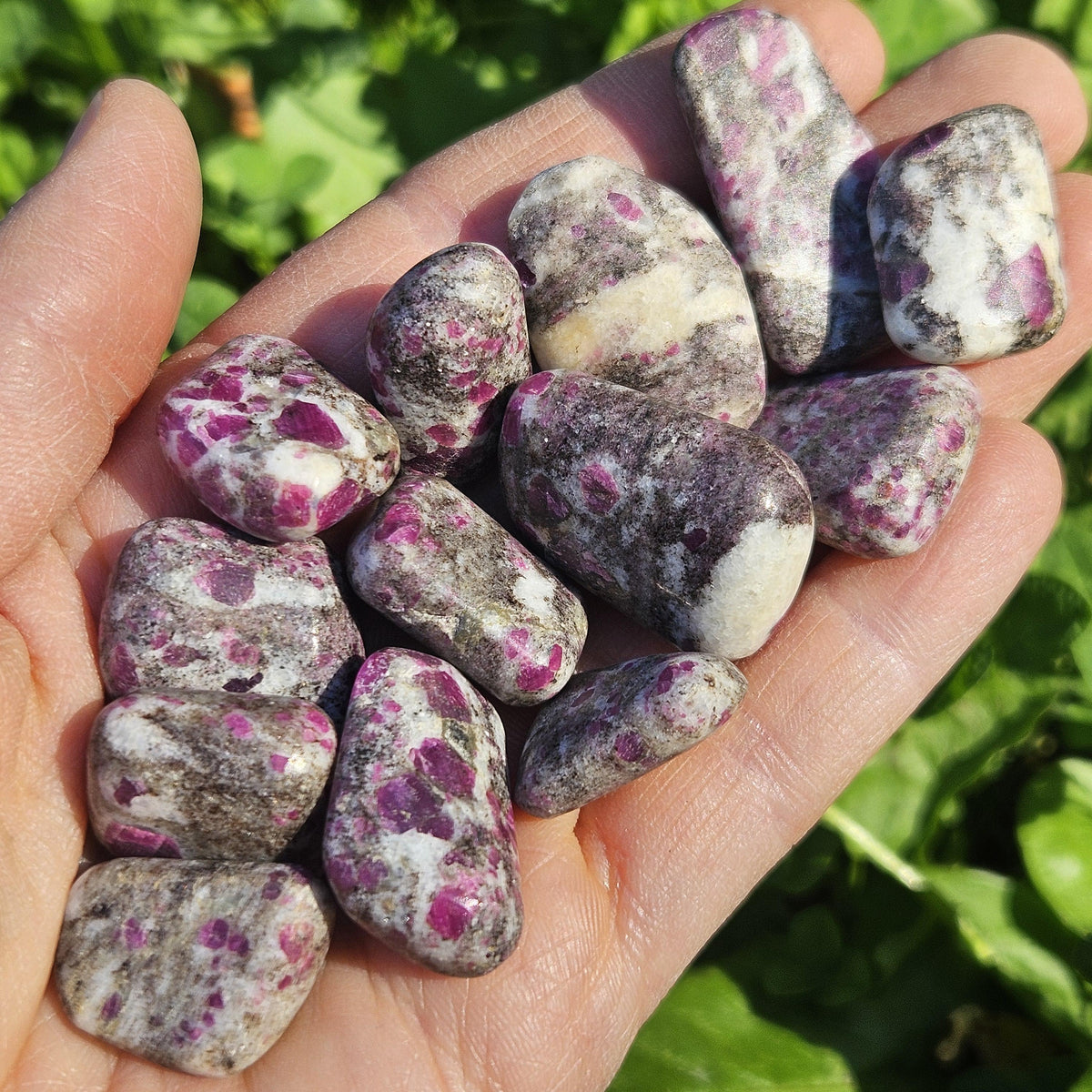 Tumbled Ruby Crystal, Ruby in Granite Specimen