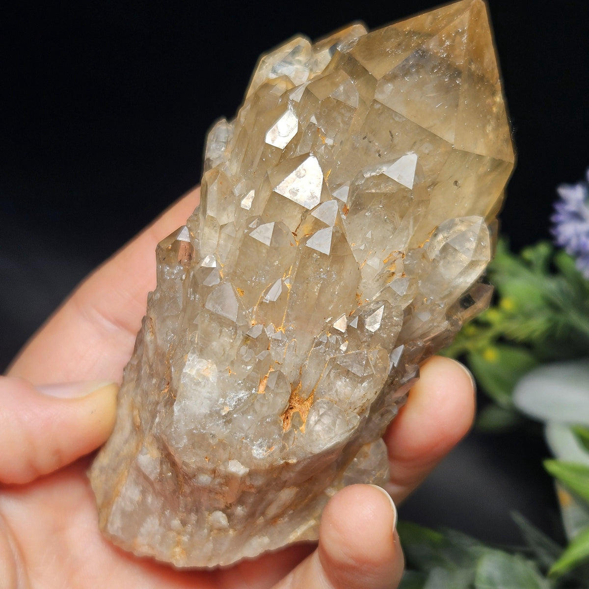 Kundalini Congo Citrine Quartz Cluster 245g, Smoky Citrine Crystal Multi